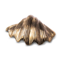Brass Clam Shell Large
