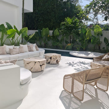 Dotty | Solid Teak Root Coffee Table
