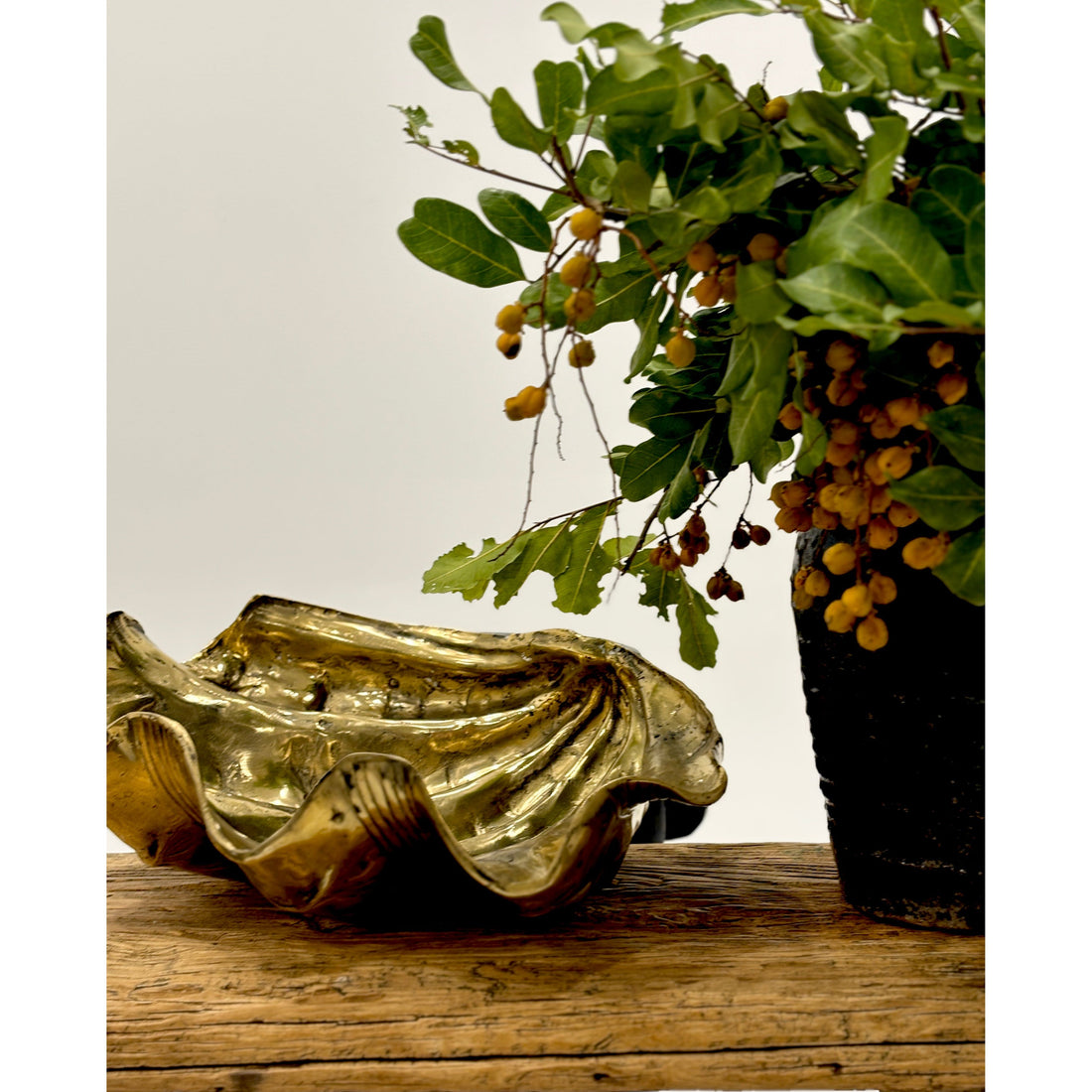 Brass Clam Shell Large
