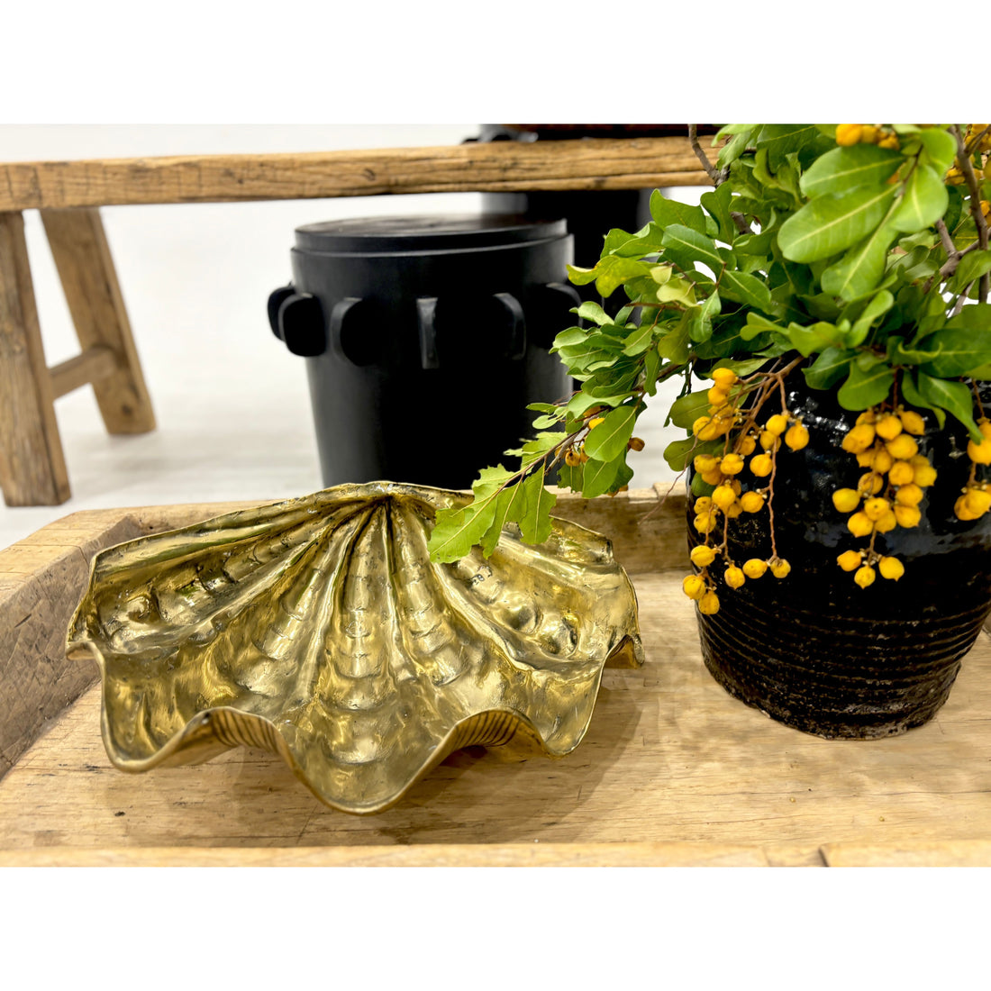 Brass Clam Shell Large