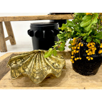 Brass Clam Shell Large