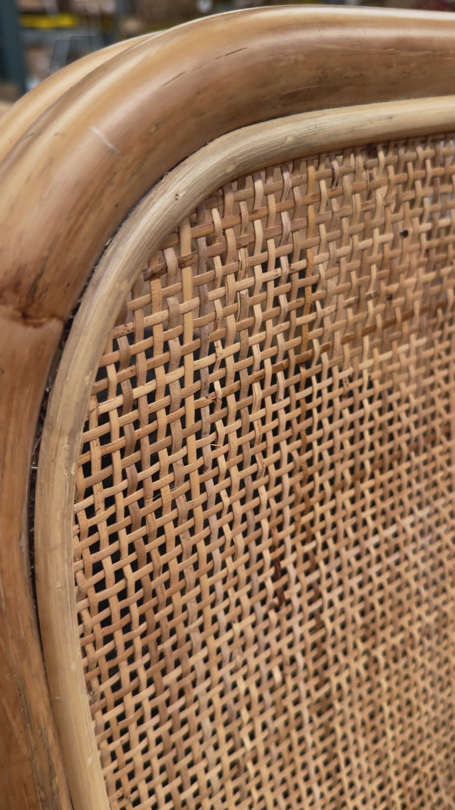 Imperfect Item |Sybella | Occasional Chair Natural Rattan