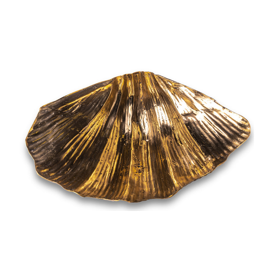 Brass Clam Shell Large